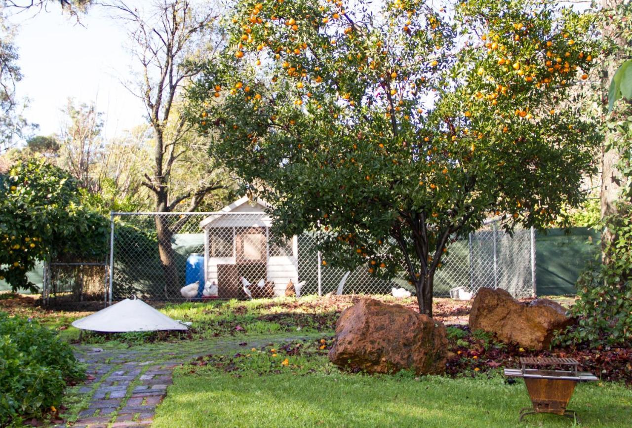 Farview Guest Accommodation Pickering Brook Exterior foto